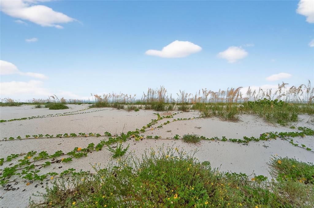 待售: $2,200,000 (0.15 acres)