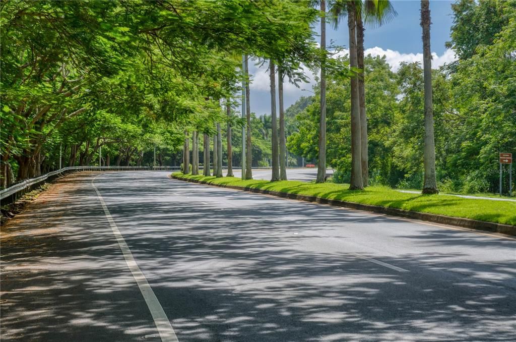 На продажу: $550,000 (1.00 acres)