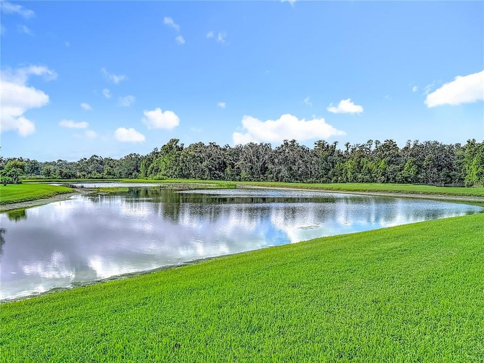 For Sale: $550,000 (5 beds, 3 baths, 3355 Square Feet)