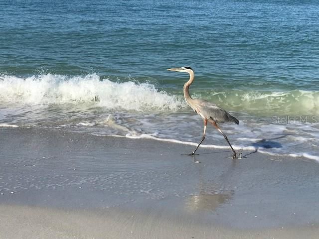 For Sale: $360,000 (1 beds, 1 baths, 684 Square Feet)