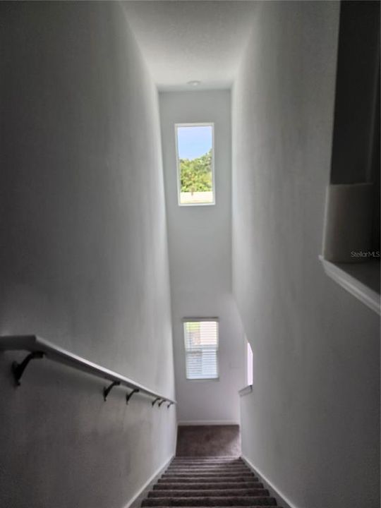 出租: $2,500 (3 贝兹, 2 浴室, 1488 平方英尺)