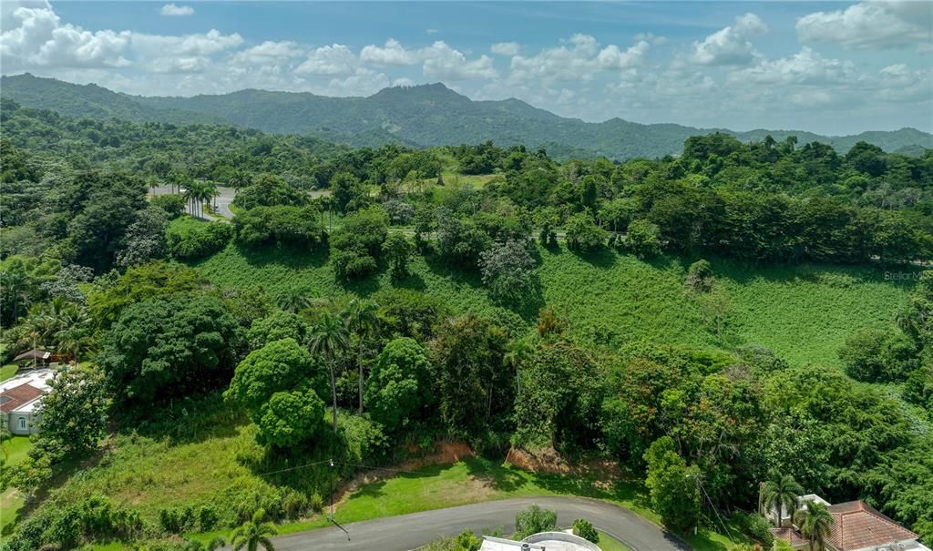 待售: $2,500,000 (4 贝兹, 4 浴室, 5637 平方英尺)