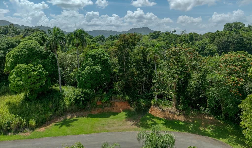 待售: $2,500,000 (4 贝兹, 4 浴室, 5637 平方英尺)