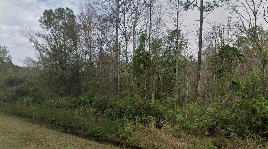 待售: $24,000 (1.14 acres)