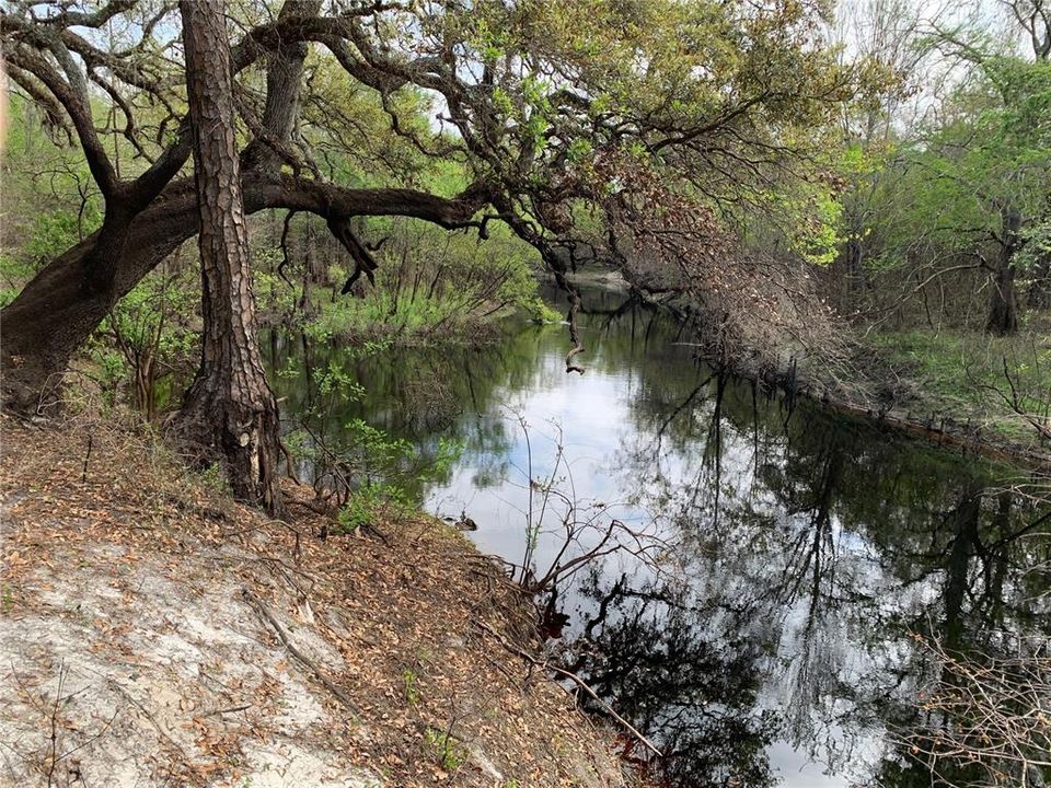 En Venta: $275,000 (3.20 acres)