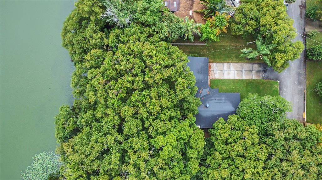 На продажу: $565,000 (3 спален, 3 ванн, 1907 Квадратных фут)