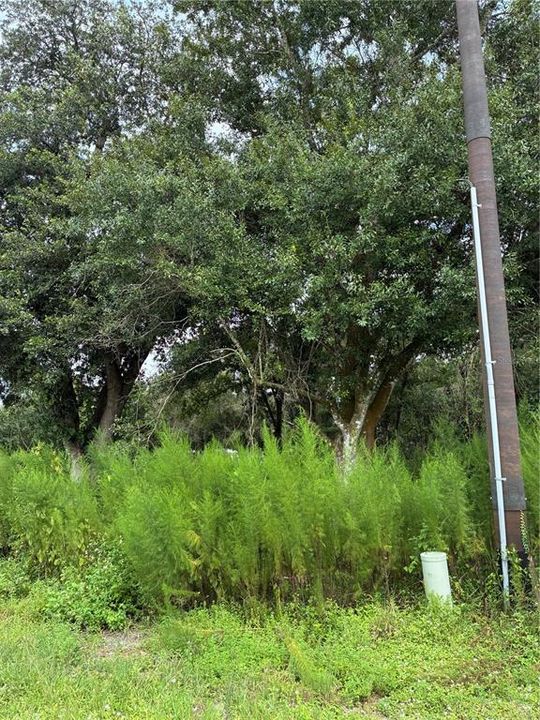 For Sale: $58,000 (1.03 acres)