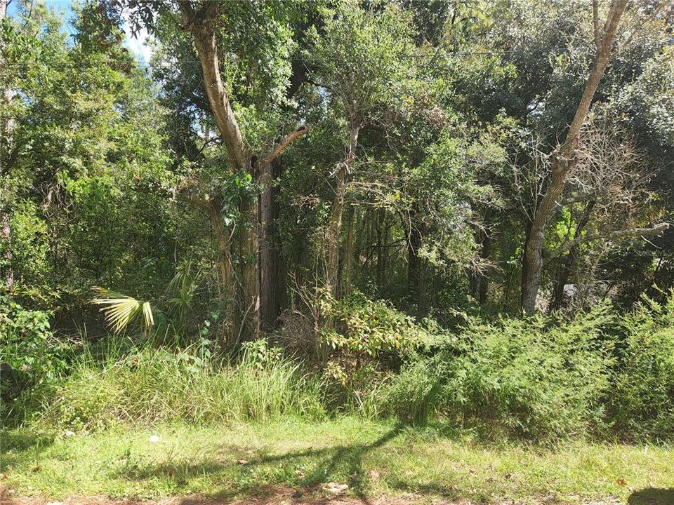 En Venta: $67,000 (0.26 acres)