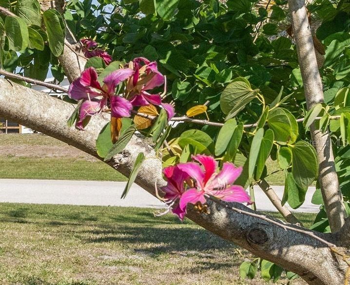 For Sale: $138,000 (2 beds, 2 baths, 1037 Square Feet)