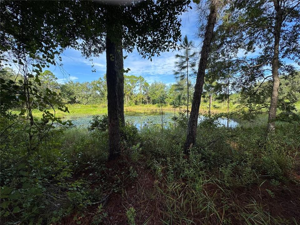 En Venta: $80,000 (6.00 acres)