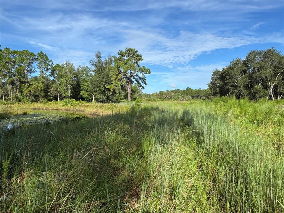 En Venta: $80,000 (6.00 acres)