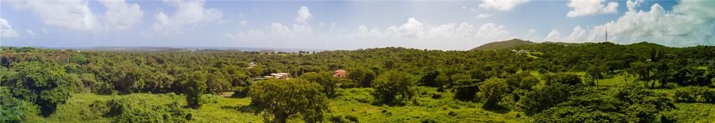 For Sale: $373,150 (4.39 acres)