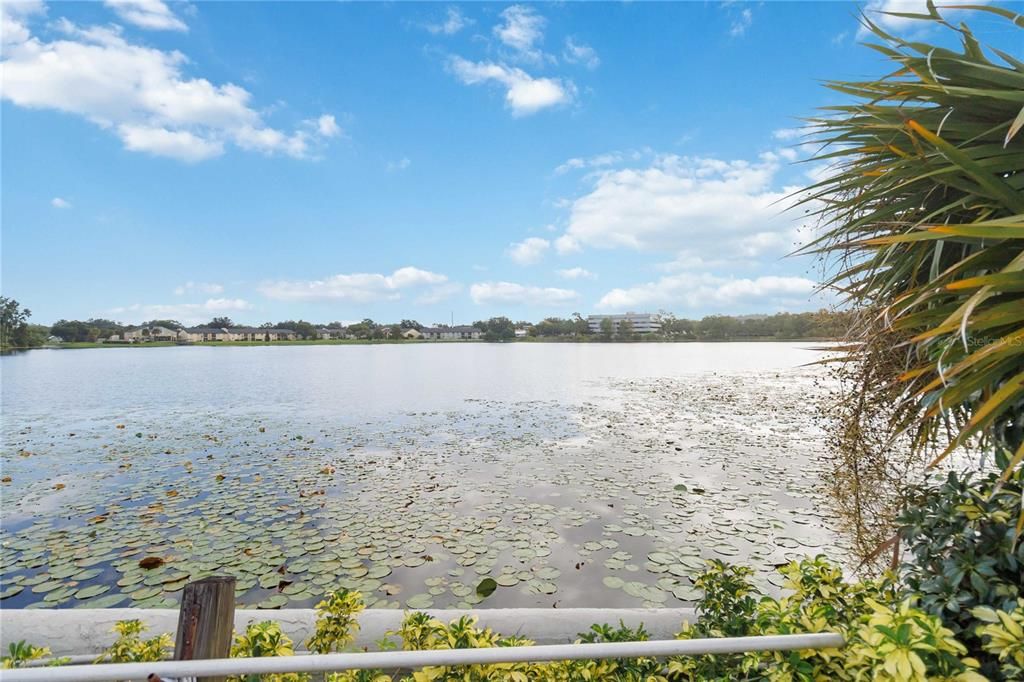 For Sale: $315,900 (2 beds, 2 baths, 1164 Square Feet)