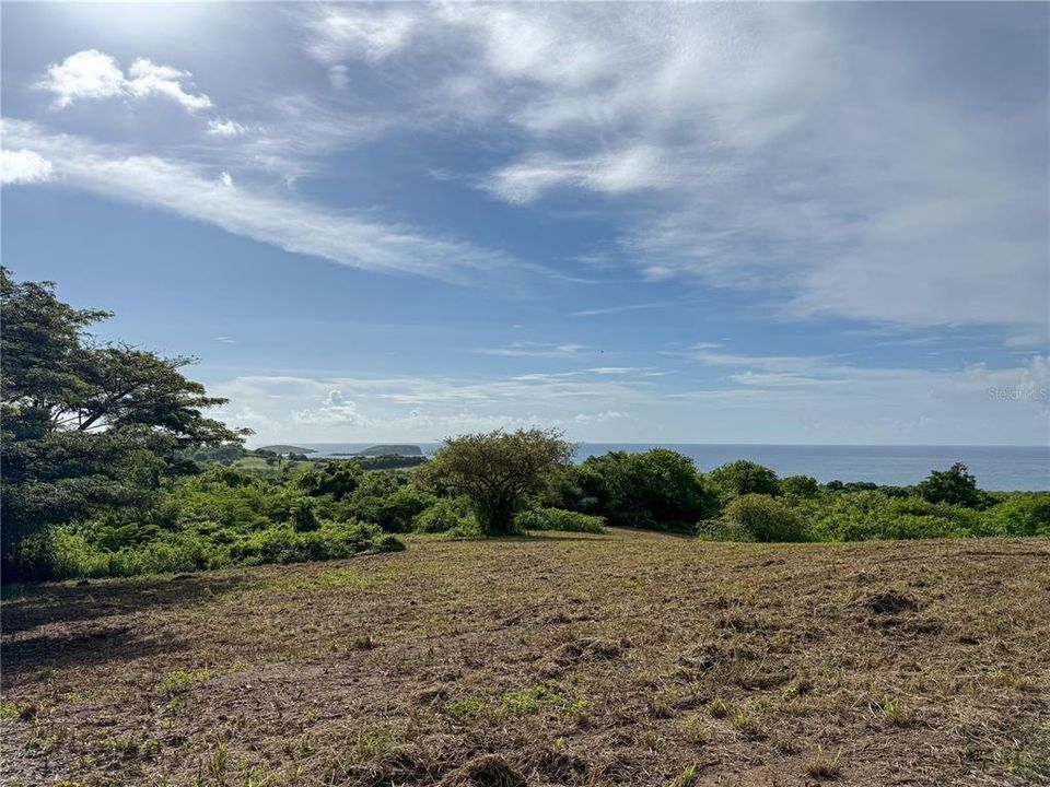 For Sale: $299,000 (2.26 acres)