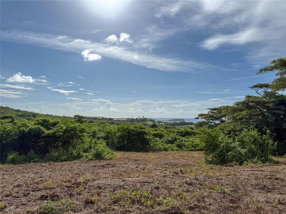 For Sale: $299,000 (2.26 acres)