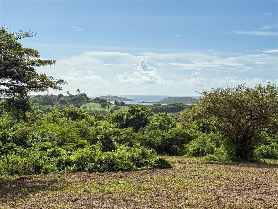 For Sale: $299,000 (2.26 acres)