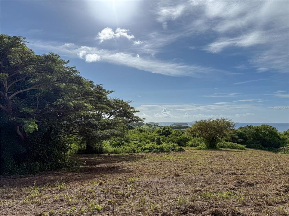 For Sale: $299,000 (2.26 acres)