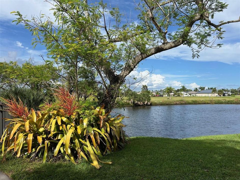 待售: $45,000 (0.22 acres)