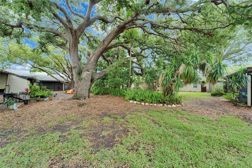 For Rent: $1,300 (1 beds, 1 baths, 590 Square Feet)