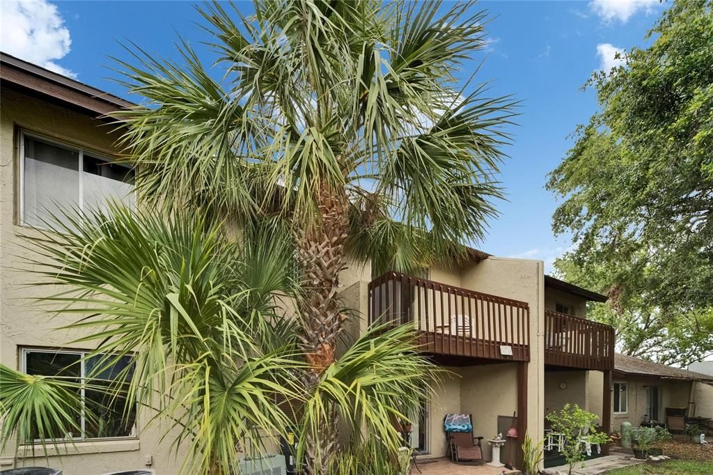 For Rent: $1,300 (1 beds, 1 baths, 590 Square Feet)