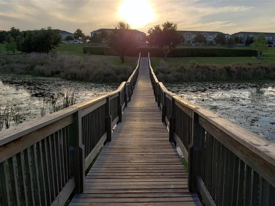 Под контрактом: $558,000 (4 спален, 3 ванн, 2438 Квадратных фут)