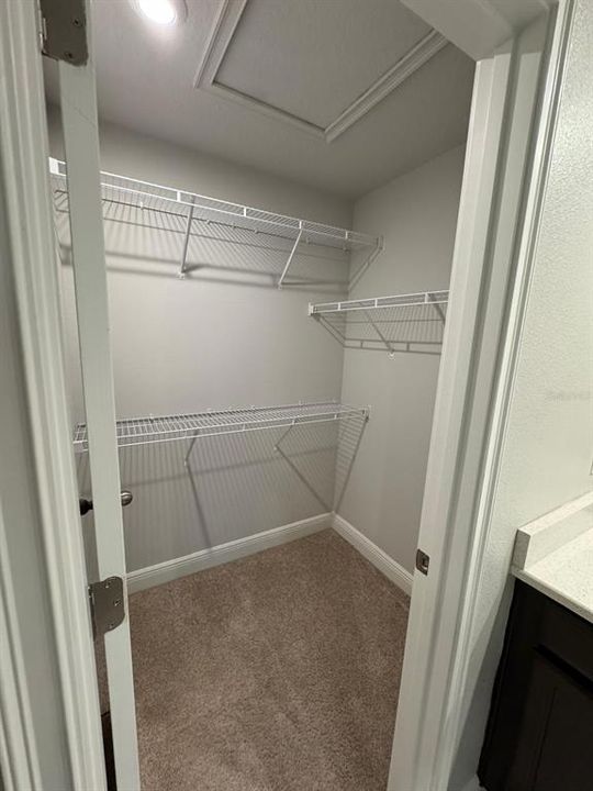 出租: $2,550 (3 贝兹, 2 浴室, 1713 平方英尺)