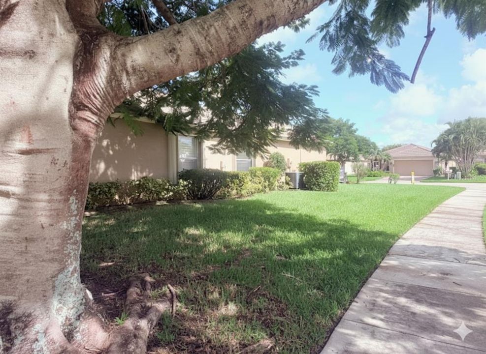 На продажу: $385,000 (3 спален, 2 ванн, 1584 Квадратных фут)