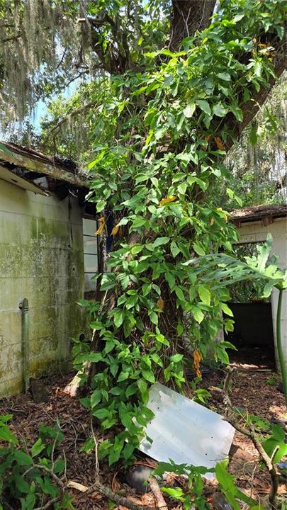 待售: $249,000 (2 贝兹, 2 浴室, 2098 平方英尺)