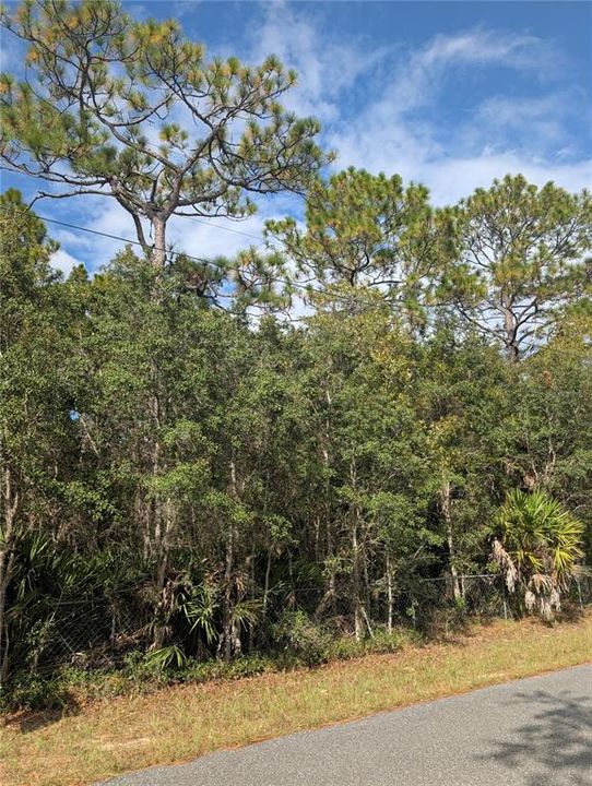 For Sale: $73,500 (1.02 acres)