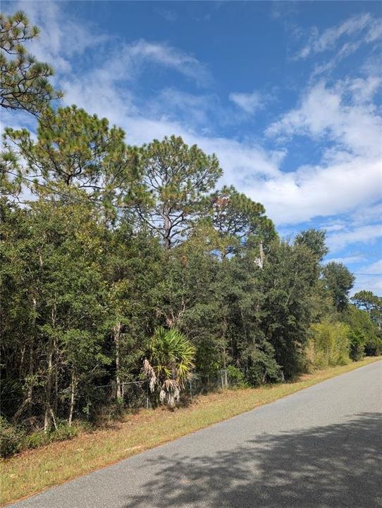 For Sale: $73,500 (1.02 acres)