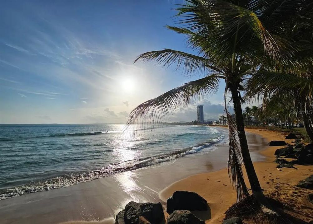 Под контрактом: $285,000 (3 спален, 2 ванн, 1251 Квадратных фут)