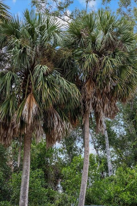 En Venta: $275,000 (2 camas, 1 baños, 936 Pies cuadrados)