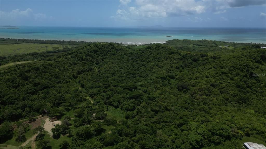 For Sale: $229,000 (5.18 acres)