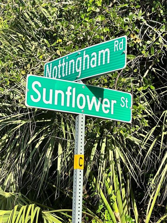 En Venta: $30,000 (0.25 acres)