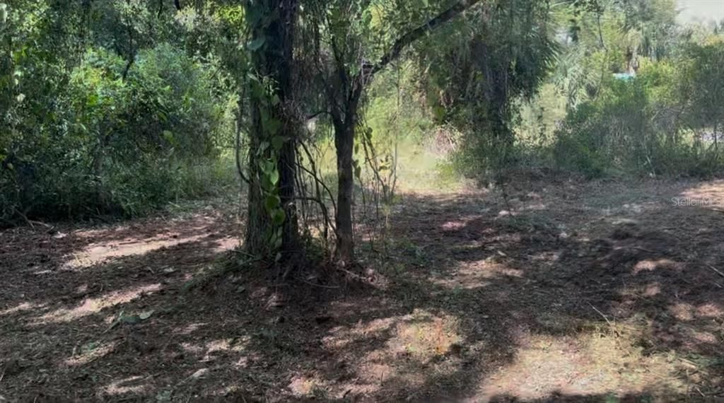 En Venta: $30,000 (0.25 acres)