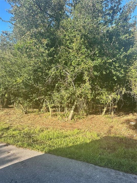 En Venta: $30,000 (0.25 acres)