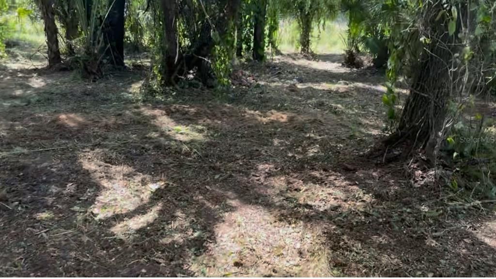 En Venta: $30,000 (0.25 acres)