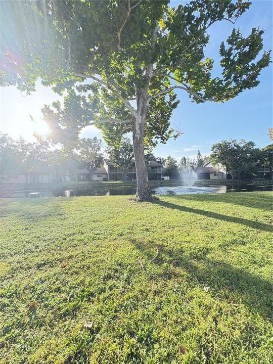 待售: $239,000 (2 贝兹, 2 浴室, 1216 平方英尺)