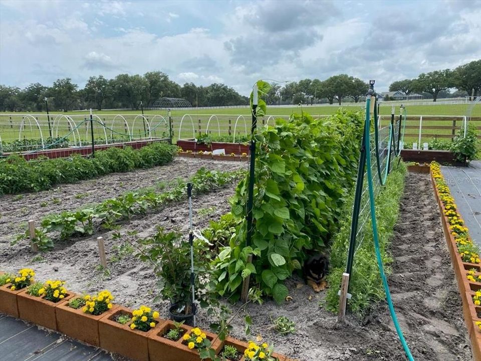 For Sale: $1,990,000 (4 beds, 4 baths, 2898 Square Feet)