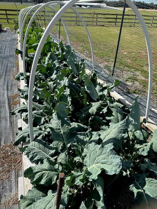 For Sale: $1,990,000 (4 beds, 4 baths, 2898 Square Feet)