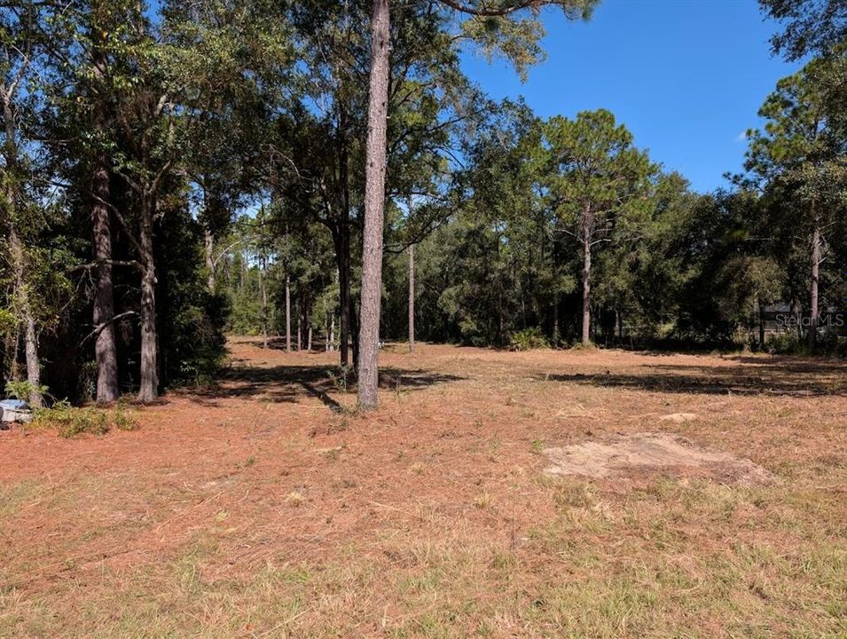 Active With Contract: $85,900 (1.16 acres)