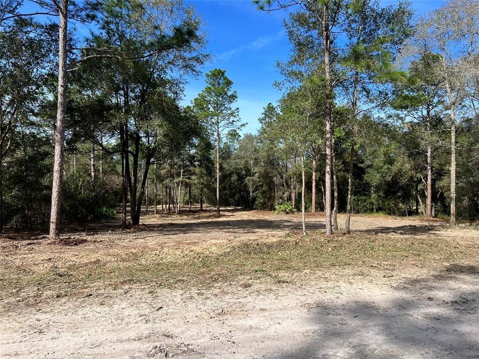 Active With Contract: $85,900 (1.16 acres)