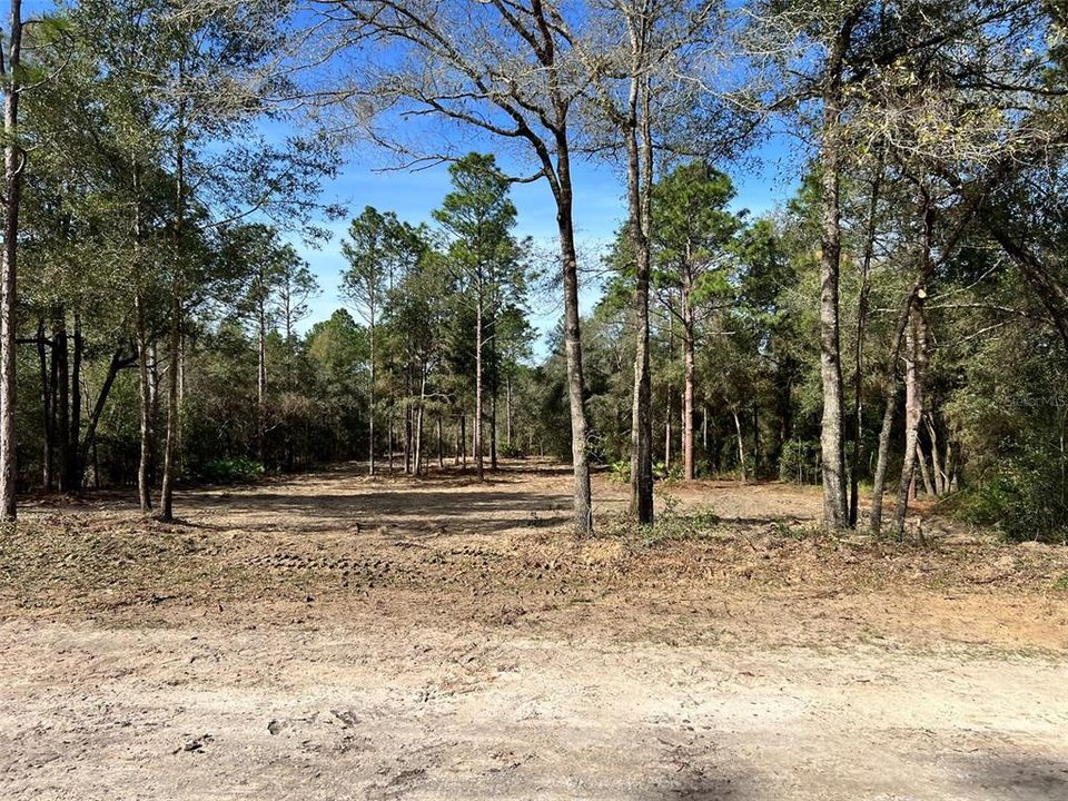 Active With Contract: $85,900 (1.16 acres)