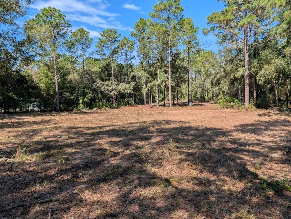 Active With Contract: $85,900 (1.16 acres)