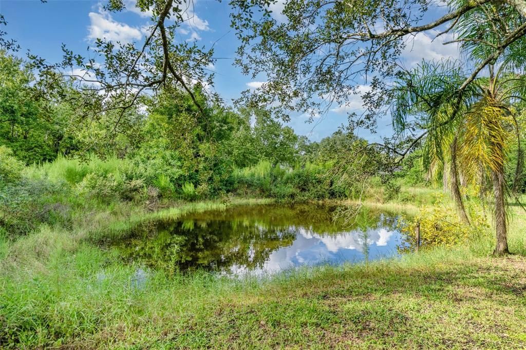 待售: $349,900 (3 贝兹, 1 浴室, 1144 平方英尺)