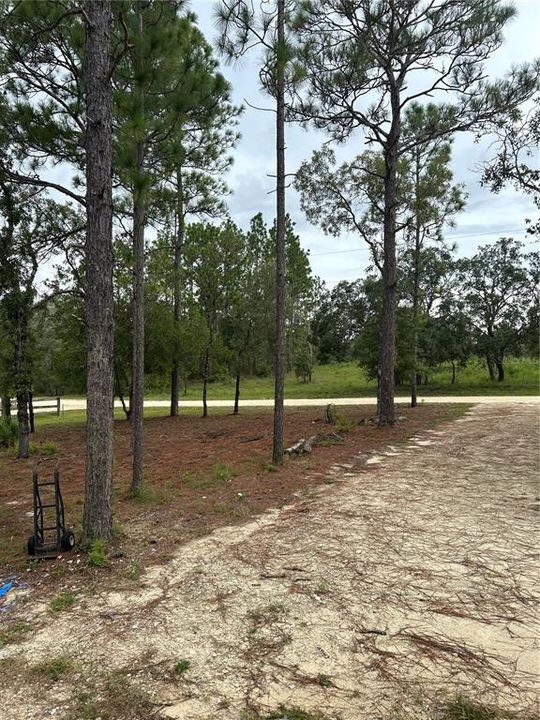 Под контрактом: $189,900 (3 спален, 2 ванн, 1065 Квадратных фут)