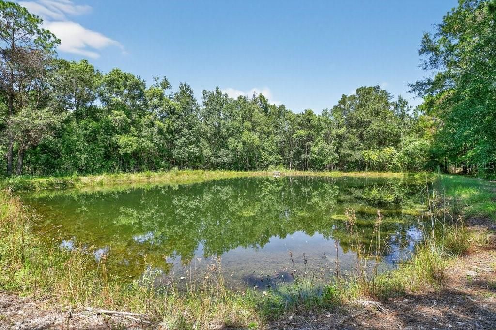 En Venta: $325,000 (3 camas, 2 baños, 1404 Pies cuadrados)