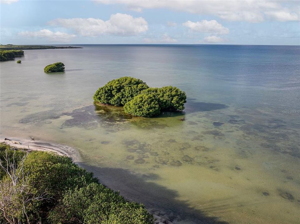 待售: $189,900 (1 贝兹, 1 浴室, 450 平方英尺)