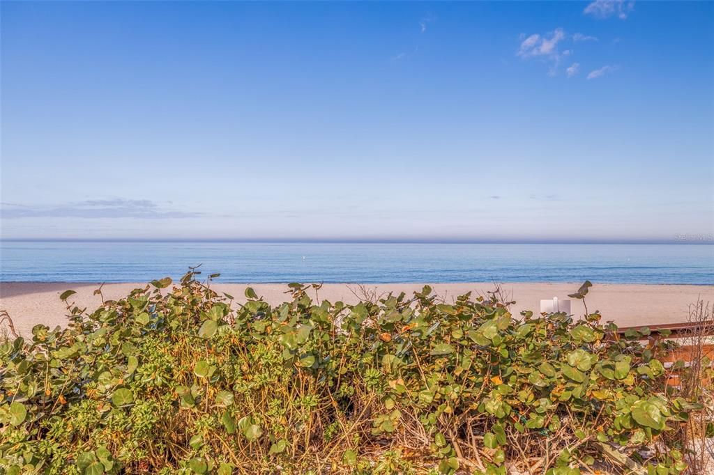 For Sale: $1,850,000 (3 beds, 2 baths, 1942 Square Feet)