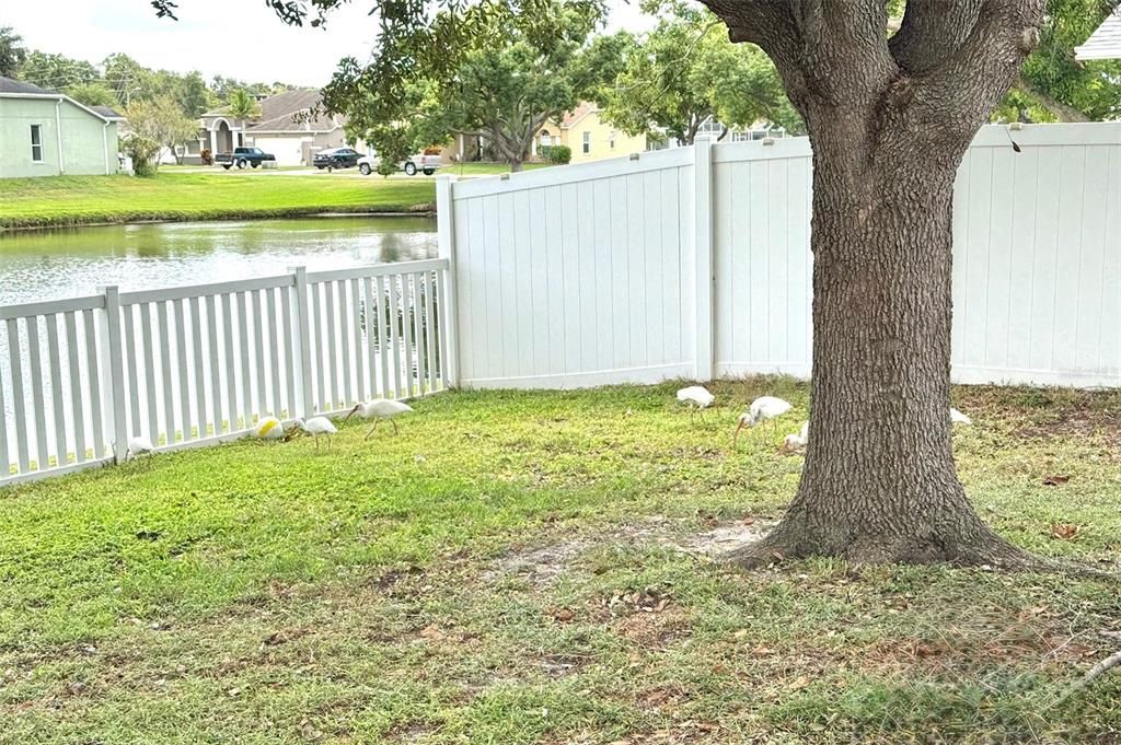 For Sale: $320,000 (3 beds, 2 baths, 1252 Square Feet)